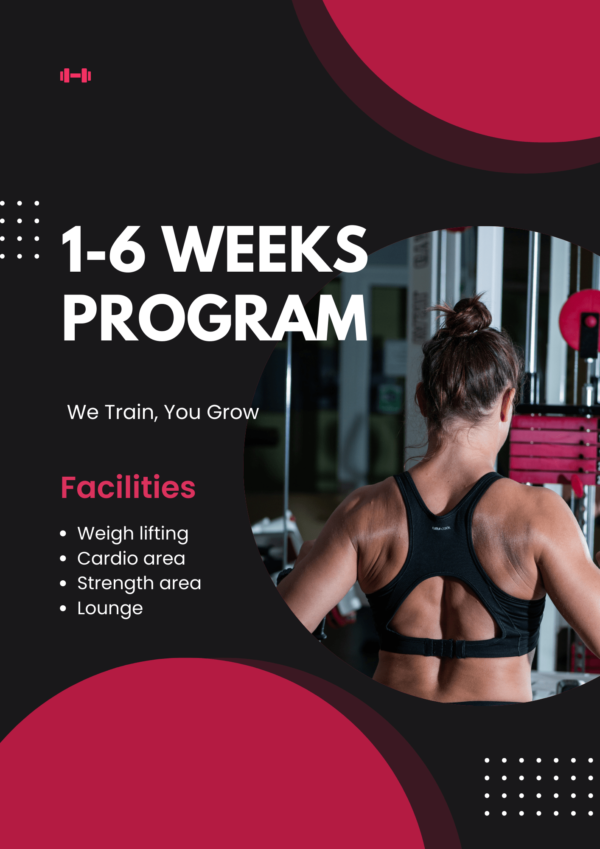 1-6 WEEKS PROGRAM